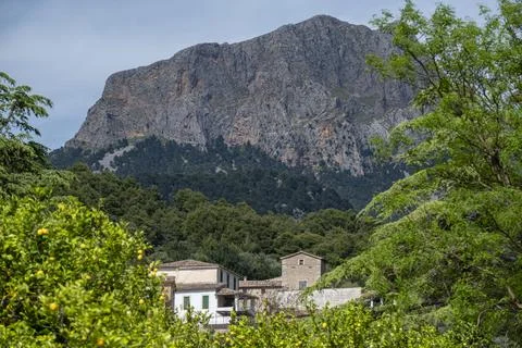 Binibass, Puig Major in the background, Soller valley route, Mallorca, Balear Stock Photos