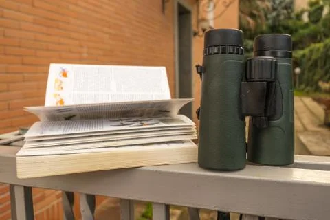 Binoculars and Bird Guide Foto stock