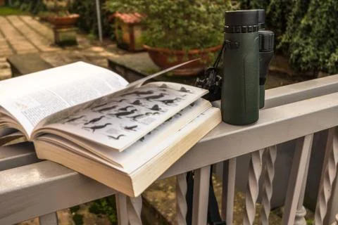 Binoculars and Bird Guide Stock Photos