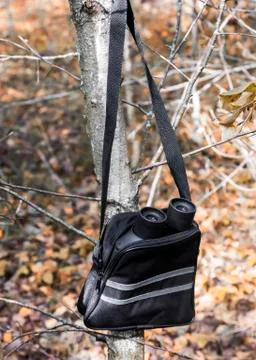 The binoculars and case binoculars on the background of autumn leaves. Stock Photos