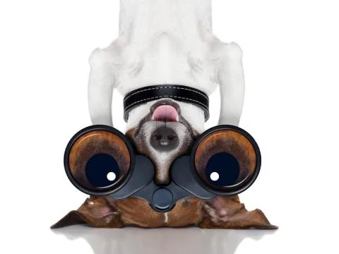 Binoculars dog Stock Illustration