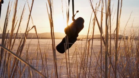 Binoculars at sunset and the golden rays of the bright sun. Spikelets of grass. Stock Footage 238527193