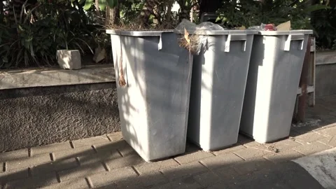 Bins are placed in the park Stock Footage 288653482