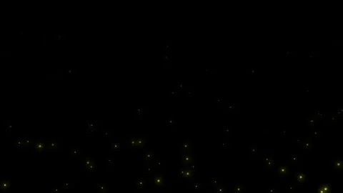 Bintang 2 Stock Footage 304742579