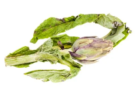Bio artichoke Stock Photos