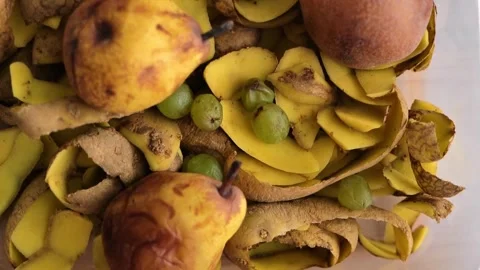 Bio compost.Close-up of grapes, pears, and potato peelings Stock Footage 328747414