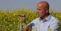Bio Diesel Fuel Oil Seeds Farmland Producer Check Colza Culture Touching Plants 4k or 4k+ Resolution