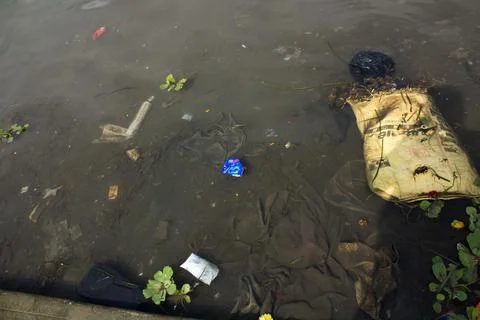 Bio diversity damage caused by dumping plastics and thrash in rivers. Foto stock