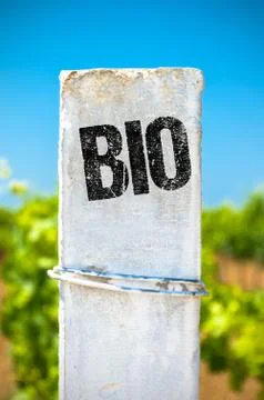 Bio - Ecological Concept. Foto stock