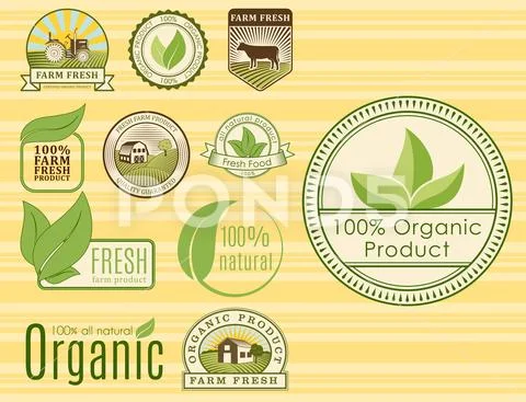 Bio farm organic eco healthy food templates and vintage vegan green color for Stock Illustration