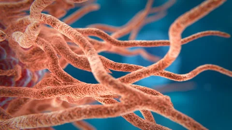 Bio Growth 02 Stock Footage 255439335