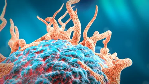 Bio Growth 03 Stock Footage 255438831