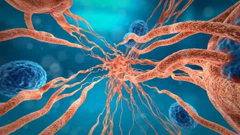 Bio Growth 04 Stock Footage 255440001