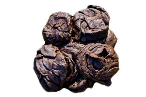 Bio poop Stock Photos