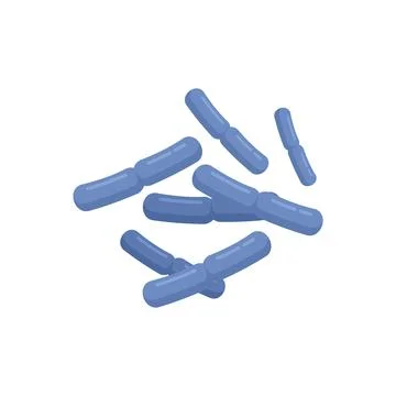 Bio probiotic icon flat vector. Gut bacteria イラスト素材
