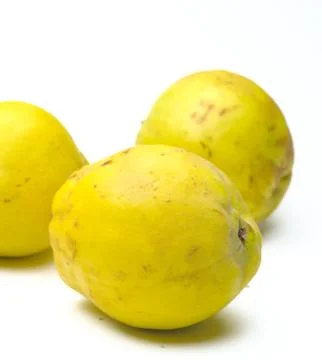 Bio quince on a white background Stock Photos