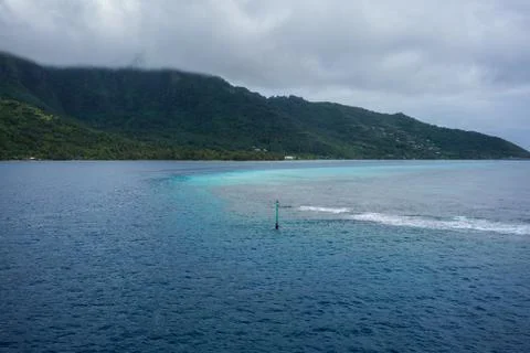 Bio Reef Stock Photos