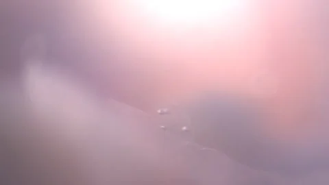 Bio ultra macro background. Video stock 102387295