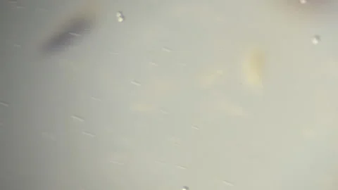 Bio ultra macro background. Video stock 102388138