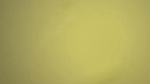 Bio ultra macro background. Video stock 102389968