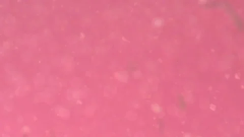 Bio ultra macro background. Video stock 102391496