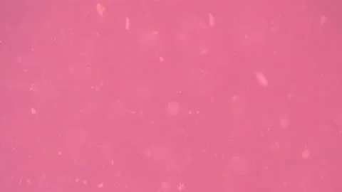 Bio ultra macro background. Video stock 102392589