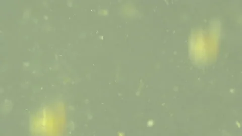 Bio ultra macro background. Video stock 102440836