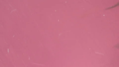 Bio ultra macro background. Video stock 102443784