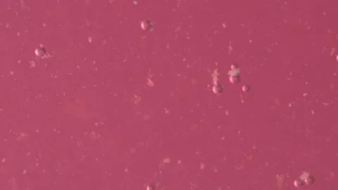 Bio ultra macro background. Video stock 102447359