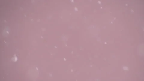 Bio ultra macro background. Video stock 102447878