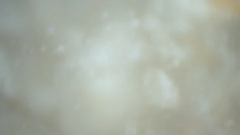 Bio ultra macro background. Video stock 102522318