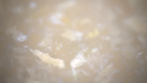 Bio ultra macro background. Video stock 102525067