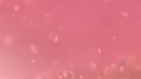 Bio ultra macro background. Video stock 102550534