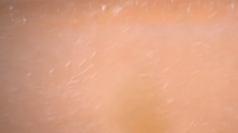 Bio ultra macro background. Video stock 102555051