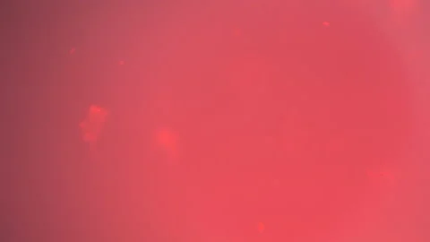 Bio ultra macro background. Video stock 102558085