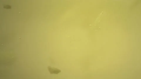 Bio ultra macro background. Video stock 102558266