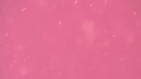 Bio ultra macro background. Video stock 102558847