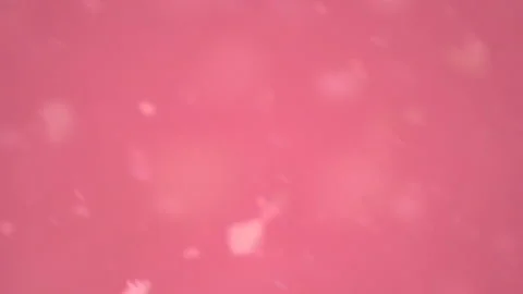 Bio ultra macro background. Video stock 102559527