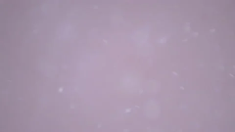 Bio ultra macro background. Video stock 102578053