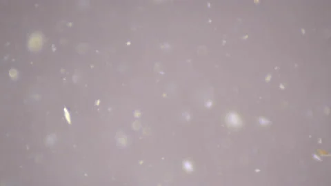 Bio ultra macro background. Video stock 102579321