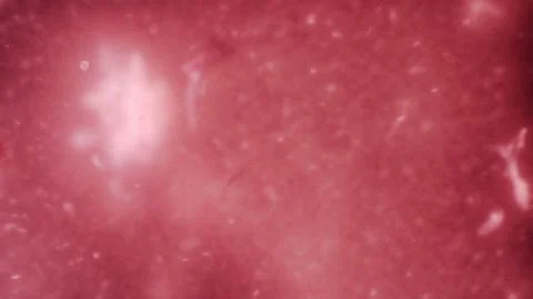 Bio ultra macro background. Stock-Fotos