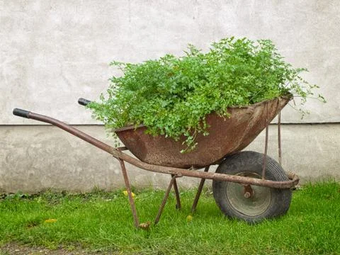 Bio wheelbarrow Foto stock
