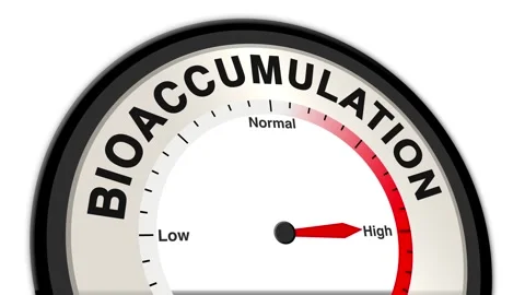 Bioaccumulation Text or Word Level Low Normal High - Barometer or Tachometer Stock Footage 307242993