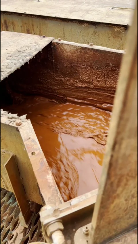 Biocake Stock Footage 248489097