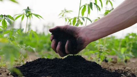 Biochar crumbles in a heap, coal particles falling, Pyrolysis, Decarbonization. Stock Footage 264470035