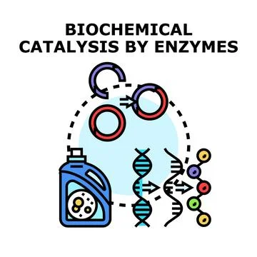 Biochemical catalysis by enzymes process vector concept Illustrazione stock