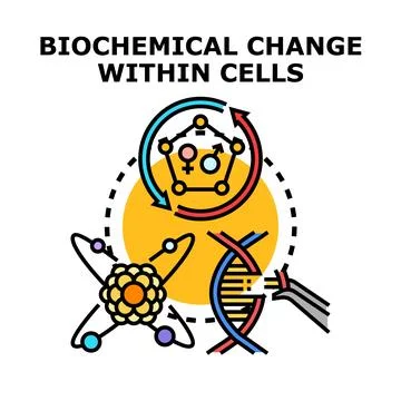 Biochemical change within cells concept illustration Stock Illustration