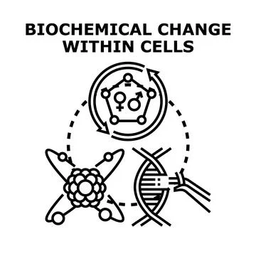 Biochemical change within cells concept illustration Stock Illustration