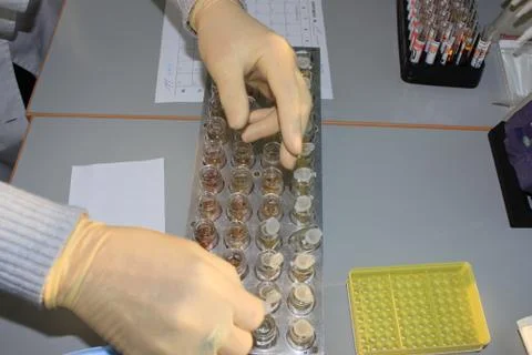 In the biochemical laboratory Stock Photos