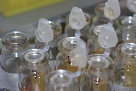 In the biochemical laboratory Foto stock
